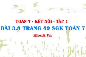 Bài 3.8 trang 49 SGK Toán 7 tập 1 Kết nối tri thức